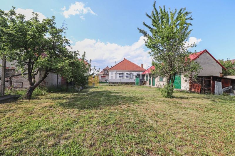A plot of land near a family house in Borský Mikuláš with a lawn and fruit trees.