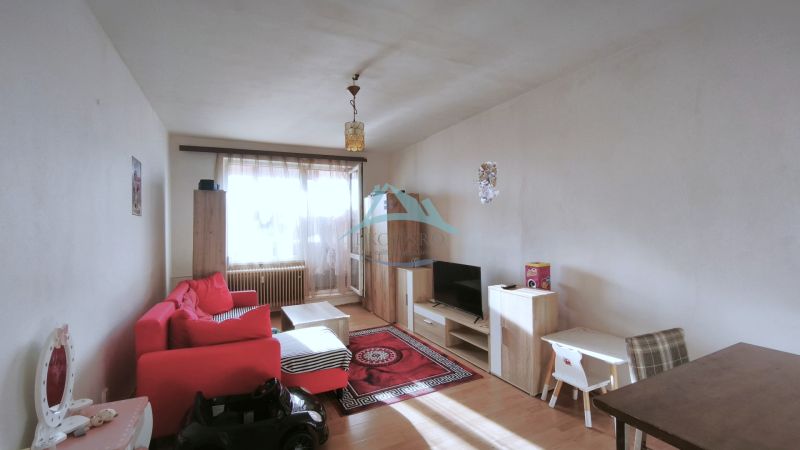 Living room in a two-room apartment with a red sofa and a wooden decor floor.