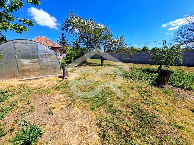 Garden behind the family house in Jasová on Jasová Street with a greenhouse and trees.