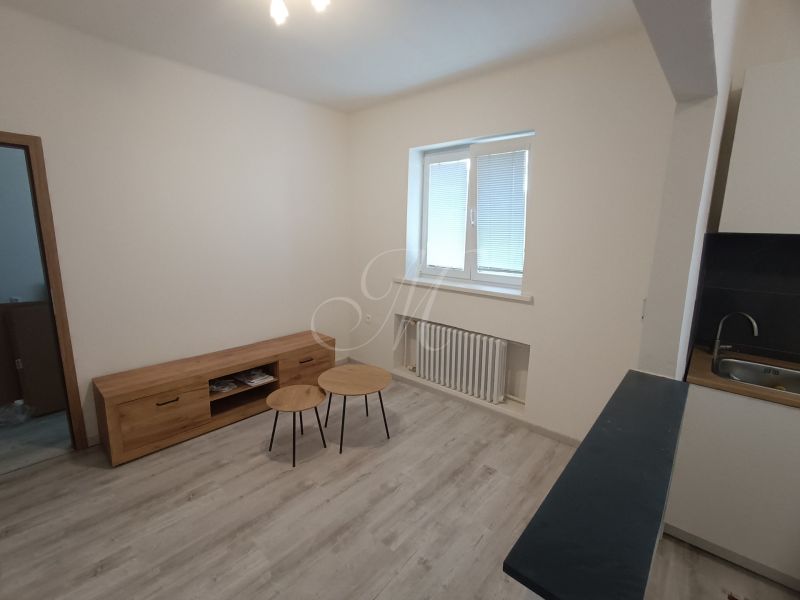 Living room in a two-room apartment with a wooden decor floor and furniture.