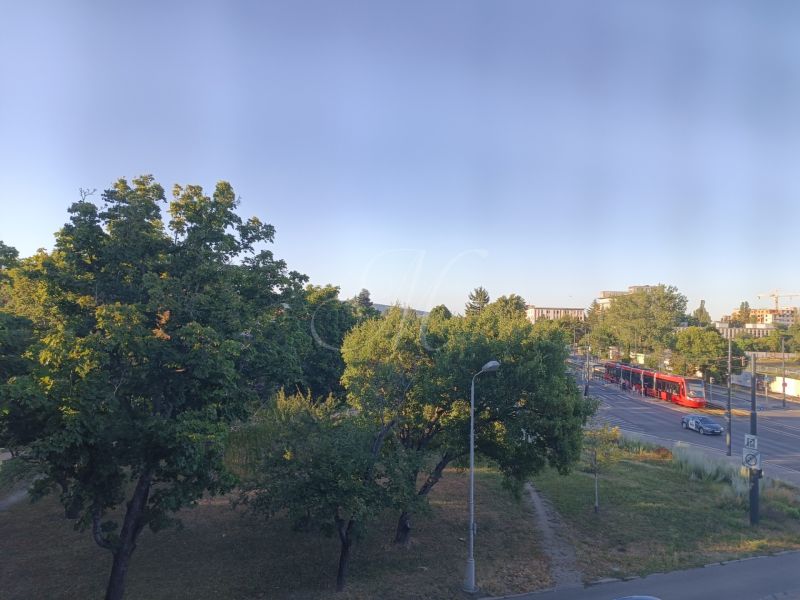 View of trees and a road with a red tram in Bratislava - Nové Mesto, Nám. Biely Kríž.