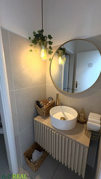 Bathroom commercial spaces with a sink, mirror, and plant on the wall.