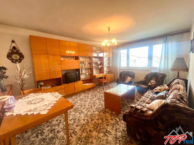 Living room with a carpet, sofa, and wall unit in a family house.