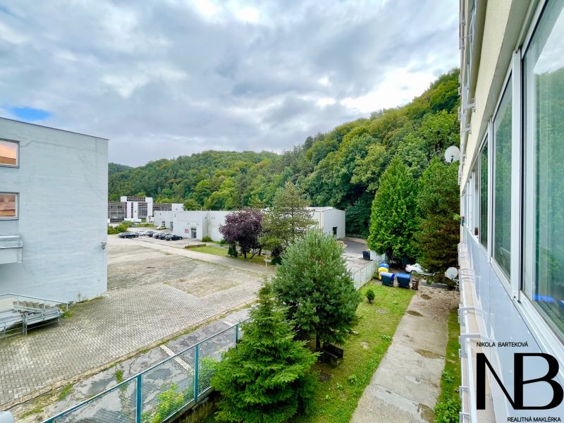 View from a 2-room apartment on K výstavisku street with trees and buildings in the background.
