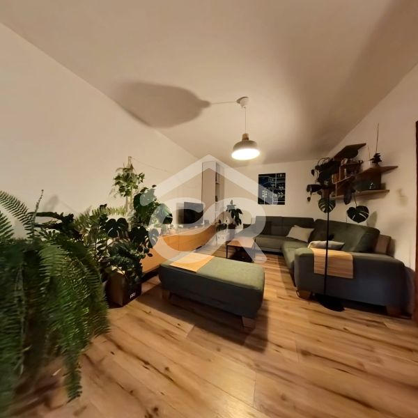 Living room in a 4-room apartment with plants, wood-patterned flooring, and a comfortable couch.