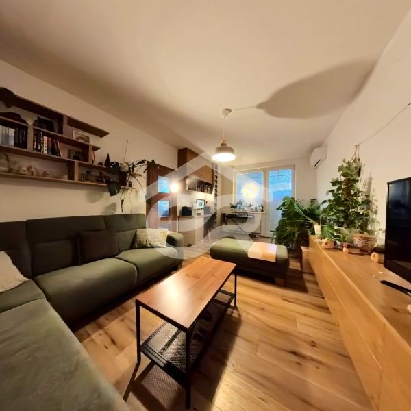 Living room in a 4-room apartment with wood-patterned flooring, plants, and a sofa.