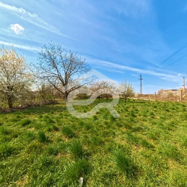 Lužianky, Korytovská: Greenery, trees, and blue sky on commercial properties.