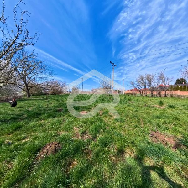 A grassy plot on Korytovska Street in Lužianky with fruit trees, suitable for commercial use.
