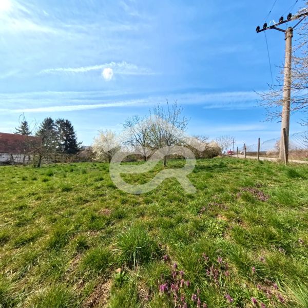 Green meadow on Korytovska Street in Lužianky, ideal for commercial plots.