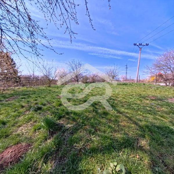 A green plot with power lines and trees on Korytovská Street in Lužianky, ideal for commercial land.