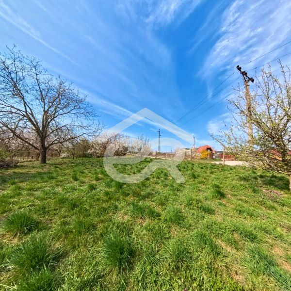 A grassy plot with trees in Lužianky on Korytovská, designated for commercial purposes.