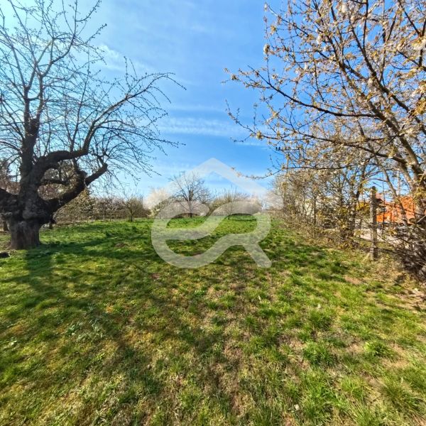 Green plot with trees on Korytovska Street in Lužianky, ideal for commercial purposes.