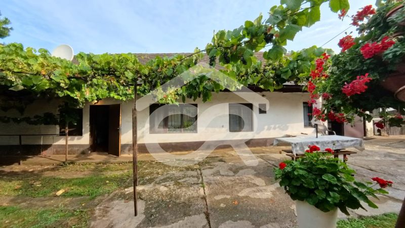 A family house on Hlavná Street in Lehota, surrounded by vineyards and flowers.