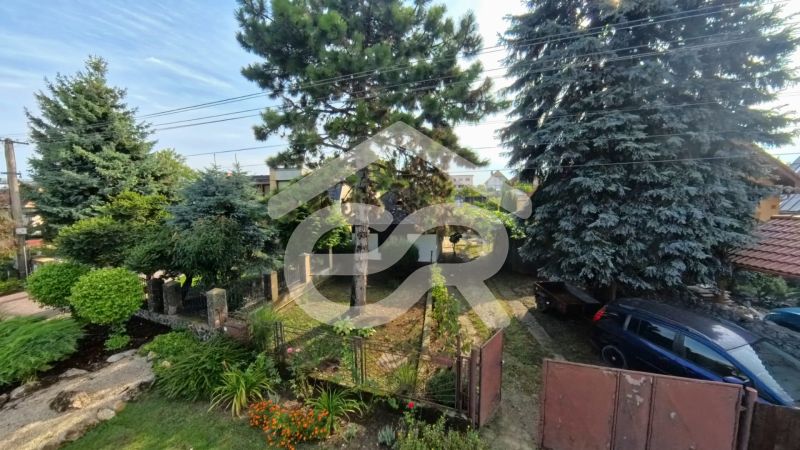 The garden at the family house on Hlavná Street in Lehota with coniferous trees.