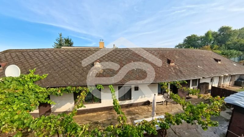 A family house on Hlavná Street in Lehota with a classic roof and a vineyard in the yard.