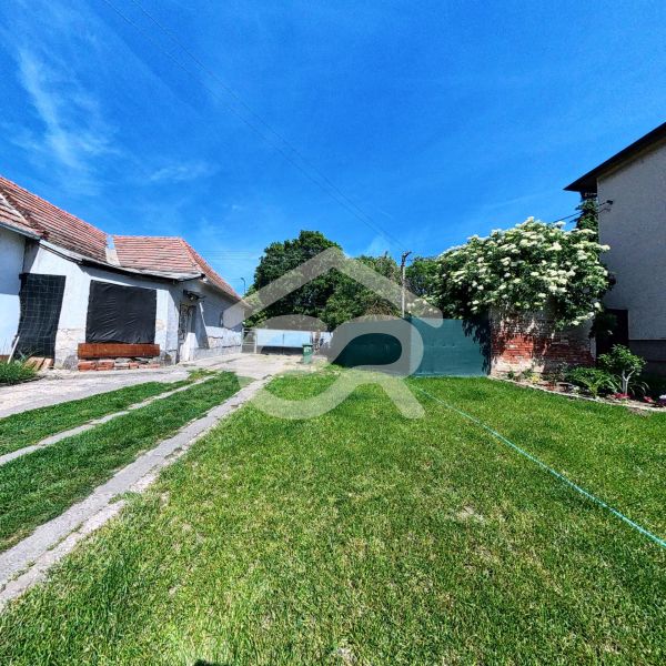 The garden of the family house on Kapitána Nálepku Square in Vráble, surrounded by green grass.