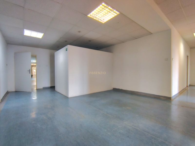 Offices with a simple interior and ceiling lights, floor with blue decor.