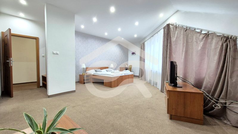 Spacious room in hotels and guesthouses with a bed, television, and flower.