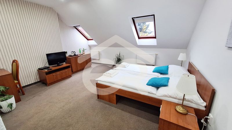 A bright room in a hotel or guesthouse with skylights, a double bed, and a television.