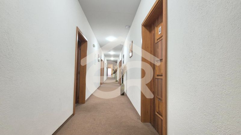 A long hotel corridor with brown doors and carpet. Hotels and guesthouses.