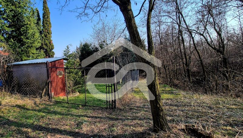 Arrival at the property near the Cottage in Štitáre on Pri Kaplnke Street, surrounded by trees and nature.