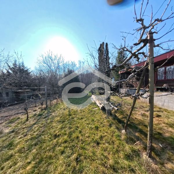 The garden of the cottage on Pri Kaplnke Street in Štitáre with a grassy plot and trees.