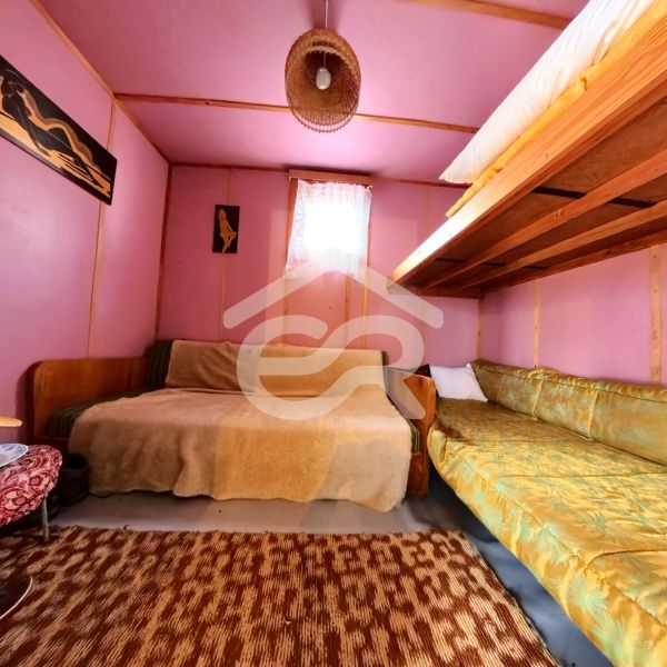 A cabin with wooden decor, beds, purple walls, and a carpet.