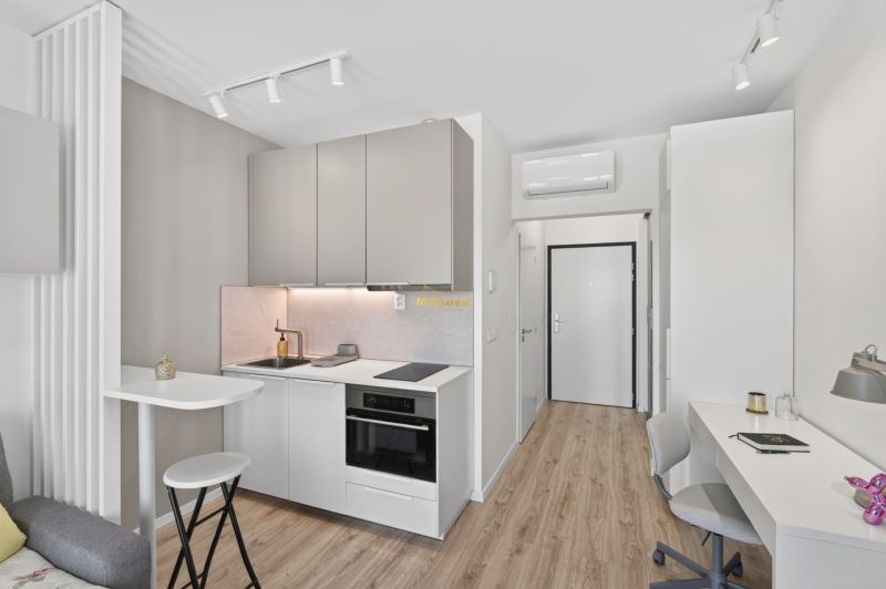 Compact studio with a kitchenette, work desk, and floor with wood decor.
