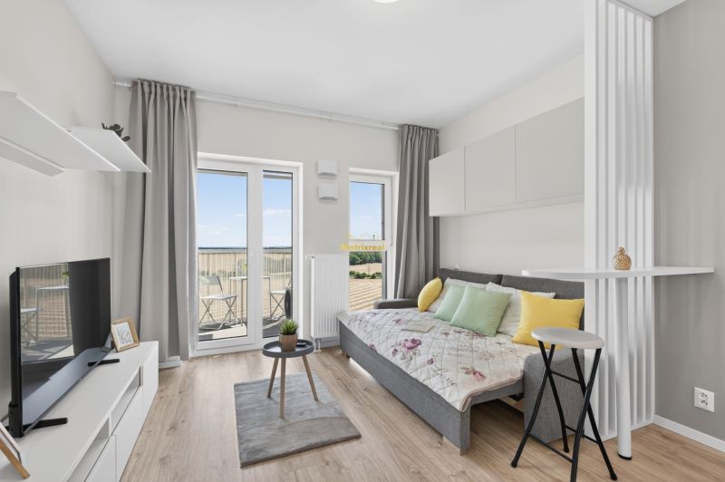 Studio apartment with a sofa, television, and balcony, floor with wood decor.