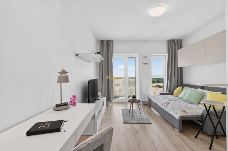 A studio apartment with a wooden floor, a sofa, a desk, and a balcony.