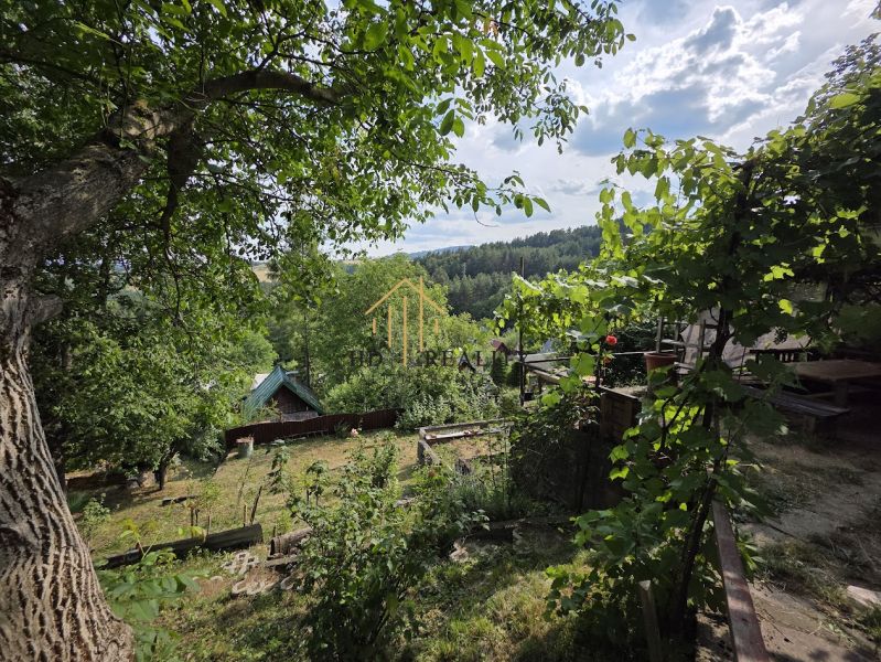A cottage in Banská Bystrica surrounded by greenery and forest, with a view of the surrounding landscape.