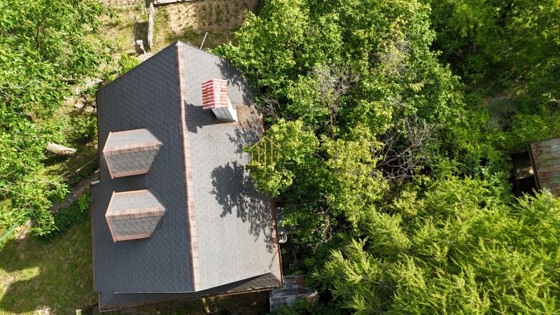 The roof of a cottage in Banská Bystrica surrounded by dense greenery, view from above.