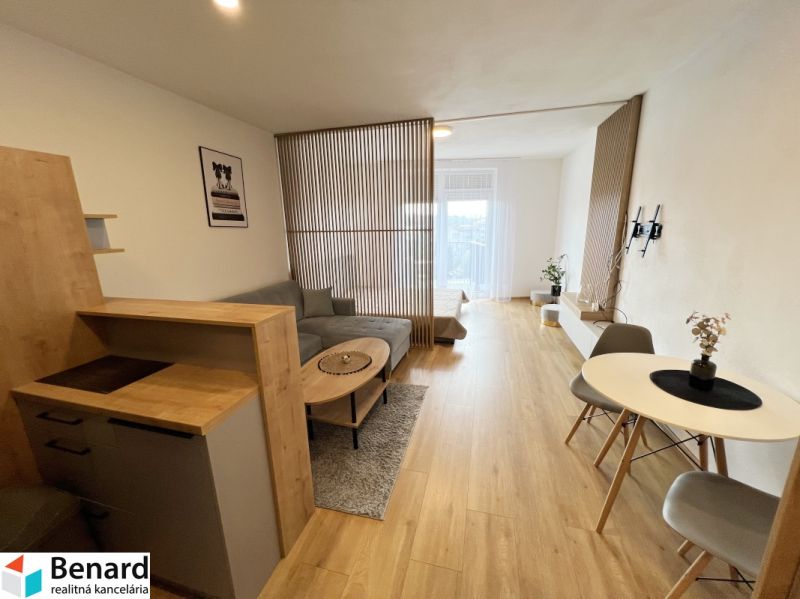 The 1-room apartment is dominated by a wooden decor floor and light furniture.