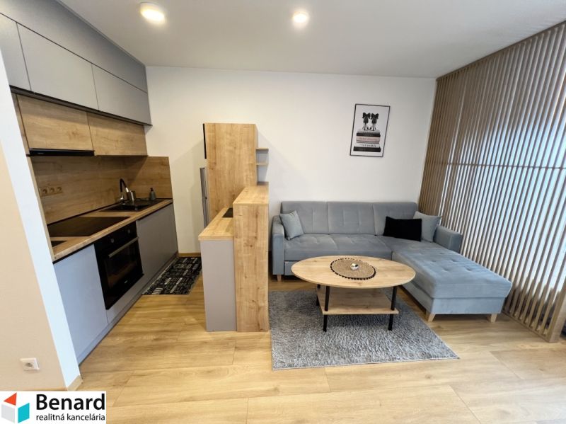Kitchen with living room in a studio apartment, wooden decor flooring, gray sofa.