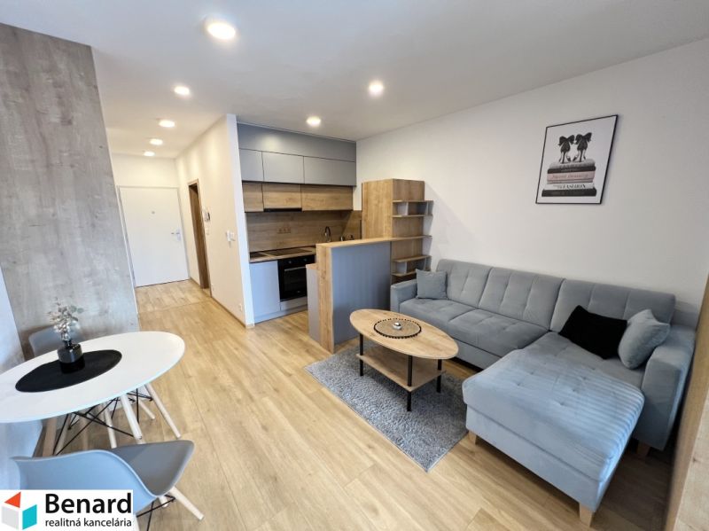 A one-room apartment with a wooden decor floor, a bright kitchen, and a comfortable sofa.