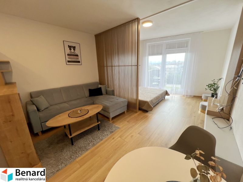 A living room of a one-bedroom apartment with a subtle design, a sofa, and a wooden decor floor.