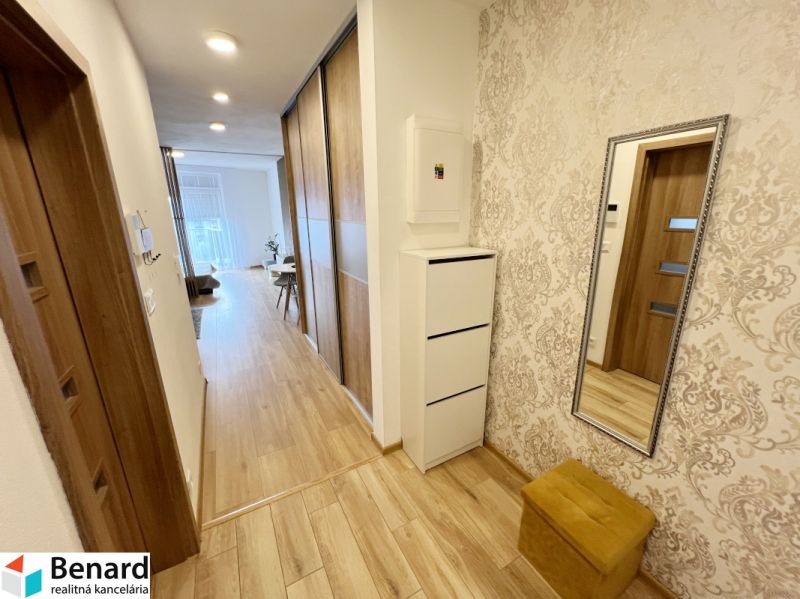 A hallway in a one-room apartment with a wooden decor floor and a mirror on the wall.