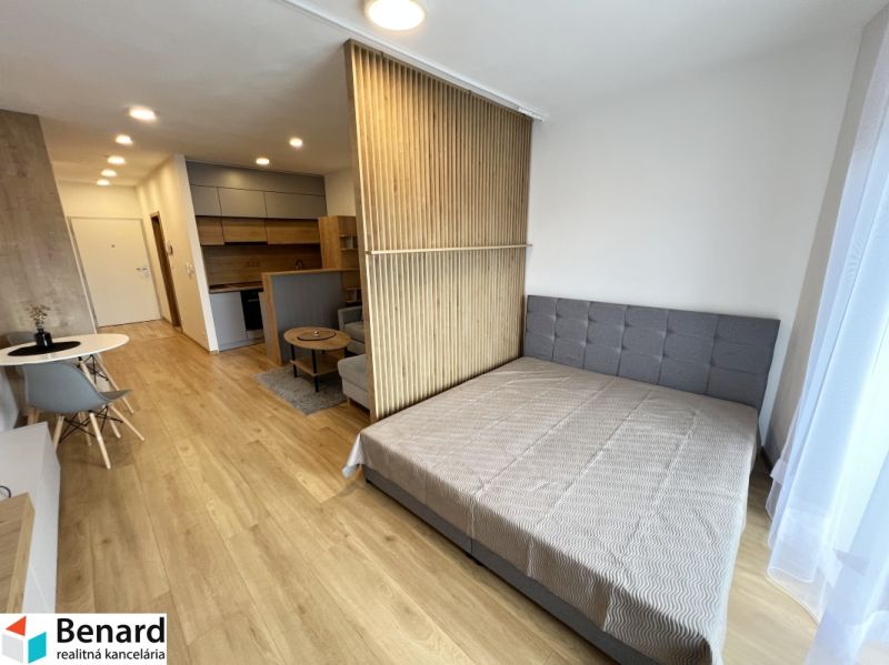 Interior of a 1-room apartment with a sofa, kitchen, and wooden decor flooring.