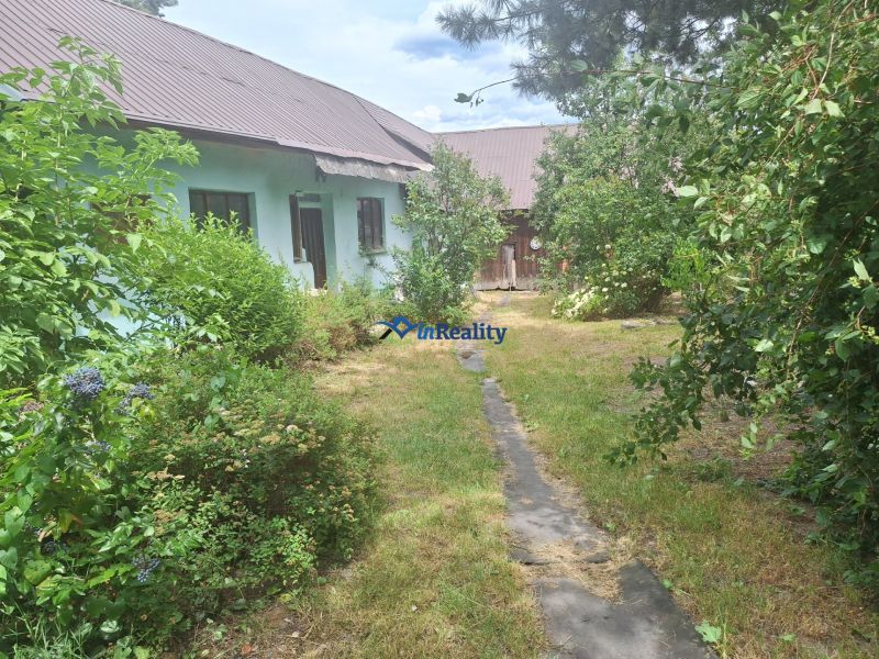 Greenery surrounds the family house in Kosorín with a grassy plot and an older shelter.
