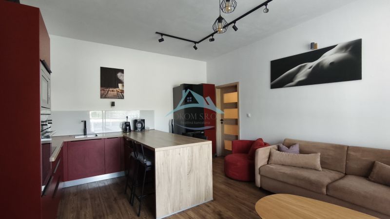 A kitchen with an island in a 2-room apartment, a floor with a wooden decor, a comfortable sofa.