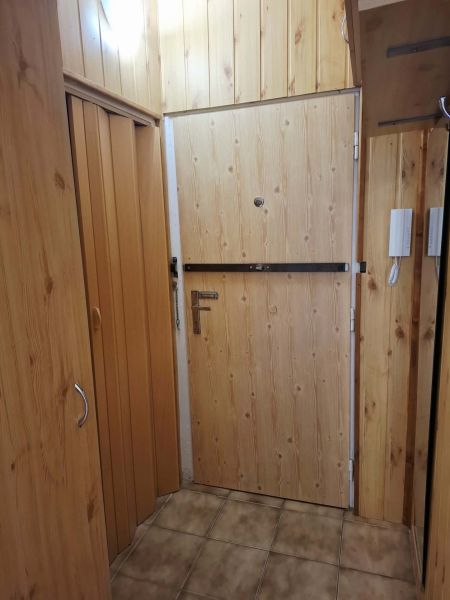 Entrance hall with wood decor cladding and tiles in a studio apartment.