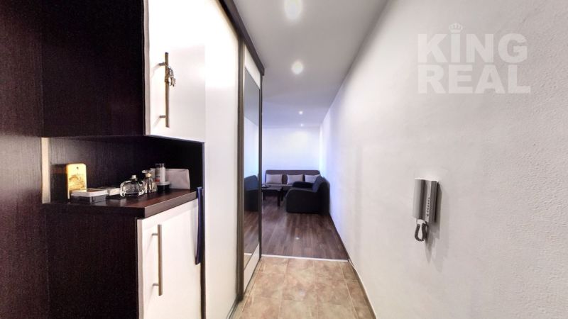 Hallway and living room with a sofa in a 2-room apartment with a wooden decor floor.