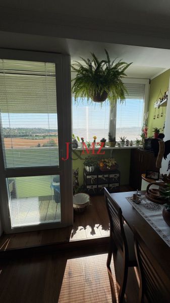 Dining room with wood-patterned flooring, plants, and balcony doors in a 3-room apartment.