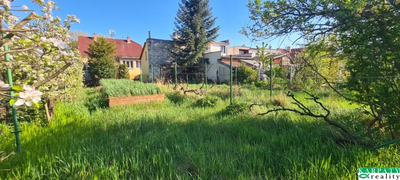 A garden with blooming trees by a family house on Krajna Street in Trnava.