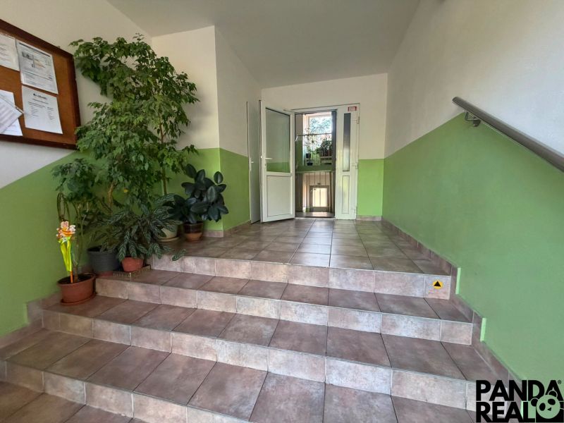Entrance to a 3-room apartment with plants and stairs on Ďumbierska Street in Nitra.