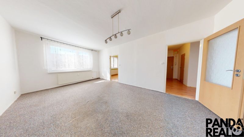 A bright living room in a three-room apartment with a carpet and ceiling lighting.