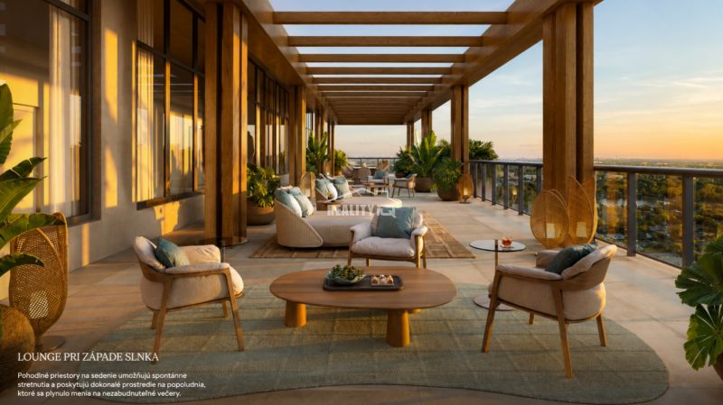 A terrace in Miami with comfortable seating, plants, and a view of the sunset.