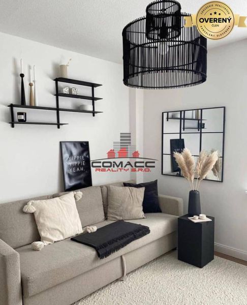 Living room in a family house with a sofa, black light fixture, and decorative elements.