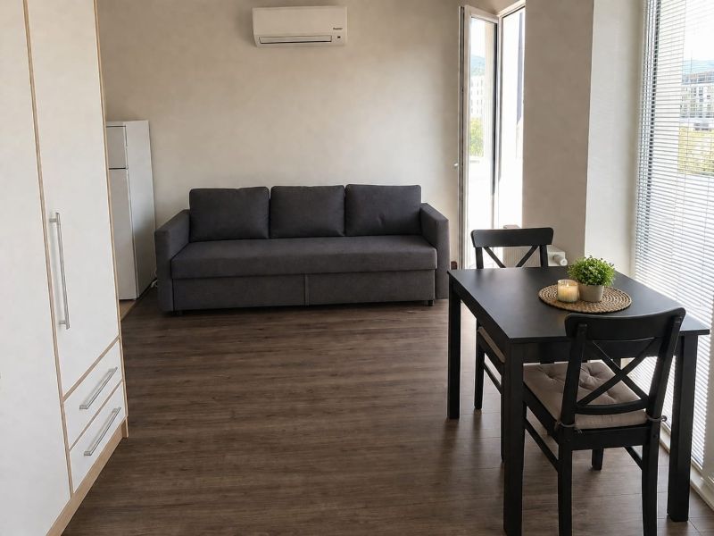 Living room in a studio apartment with wood-patterned flooring, a sofa, and a dining table.