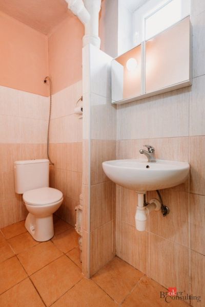 A bathroom in a family house with a sink, toilet, and tiles in light shades.